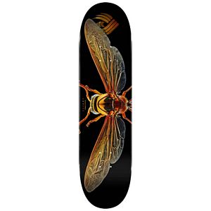 Powell Flight Biss Potter Wasp 8.0